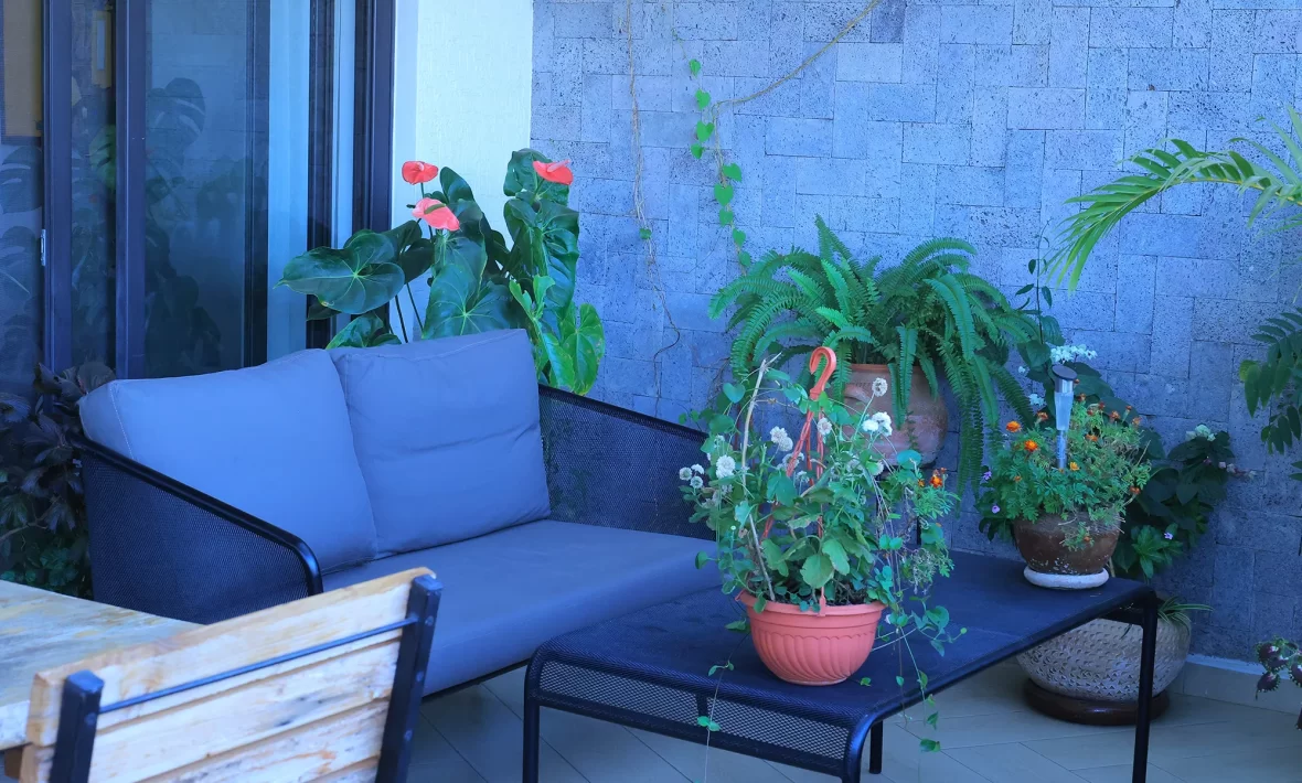Executive suite (3)